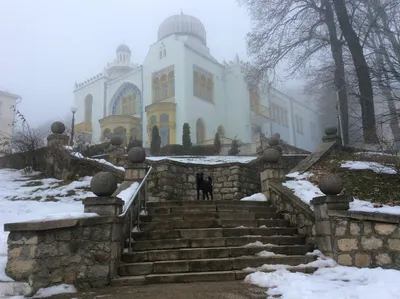 Фотографии Железноводска в зимнем орнаменте: Скачайте в нужном формате