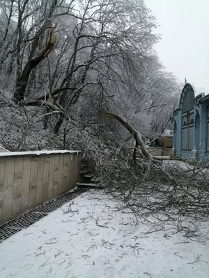 Фотоальбом зимнего Железноводска: Выберите размер фотографии