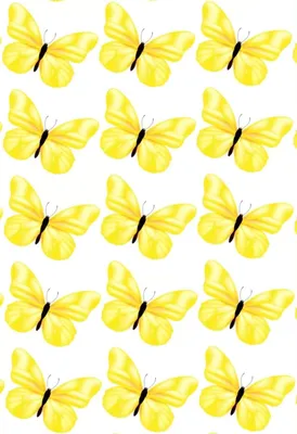 Желтые бабочки  фото
