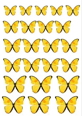 Фотка желтых бабочек в пастельных тонах