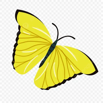 Картинка желтых бабочек с мотивационной надписью