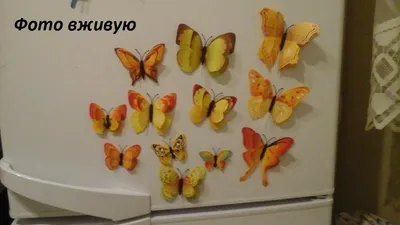 Картинка желтых бабочек в формате HDR