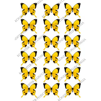 Фотка желтых бабочек в формате WebP