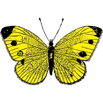 Изображение желтых бабочек с небольшими детьми