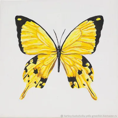 Фото желтых бабочек в клипарте для использования в графических проектах