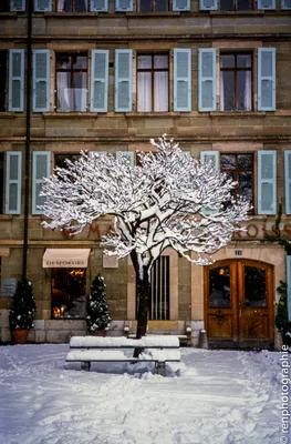 Снежная Красота Женевы: Фотографии Зимнего Ландшафта