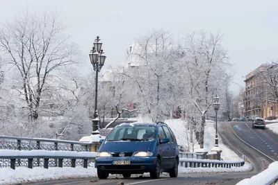 Зимние Мотивы Женевы: Фотоальбом Снежных Пейзажей