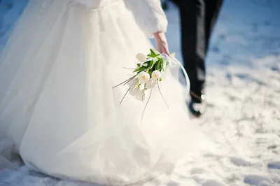 Свадебный альбом в зимнем стиле: Изображения дня
