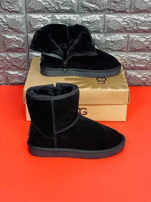 Женские ботинки на зиму: Фотографии для скачивания в разных форматах (JPG/PNG/WebP)