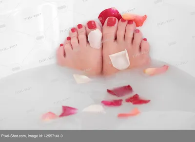 Женские ноги в ванной: источник вдохновения для заботы о себе