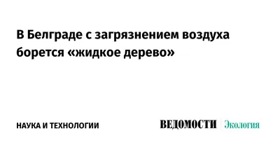 Волшебное превращение: когда деревья становятся жидкими