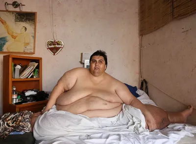 Превосходство размера: Жирный человек в формате фото