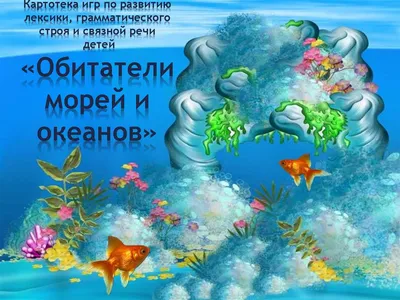 Встречайте морских жителей! Удивительные фото, которые покажут вам их разнообразие