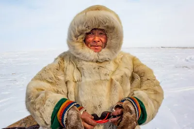 Фото жителей тундры: впечатляющая фауна