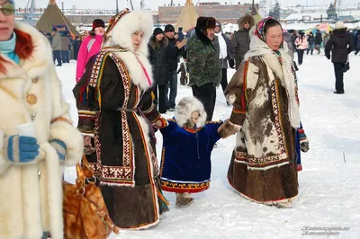 Фотографии жителей тундры, которые заставят вас восхититься