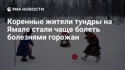 Великолепные фотографии животных тундры