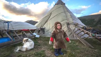 Фотографии жителей тундры: встреча с дикой природой