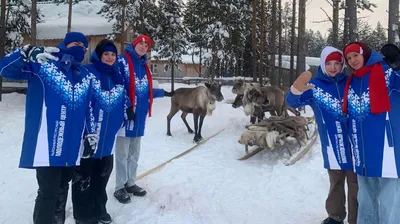 Взгляните на жизнь жителей тундры через объектив фотокамеры