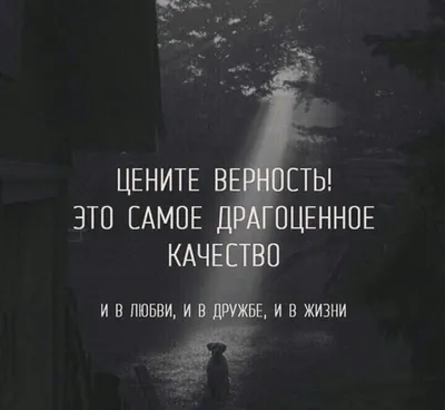 Любовь в объективе: моменты искренних эмоций