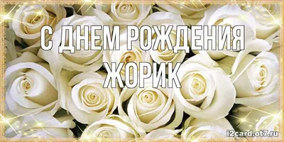 **Особенные моменты с Жориком в день его рождения**