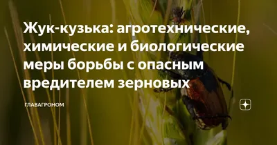 Фотоальбом жука кузьки - удивительное разнообразие