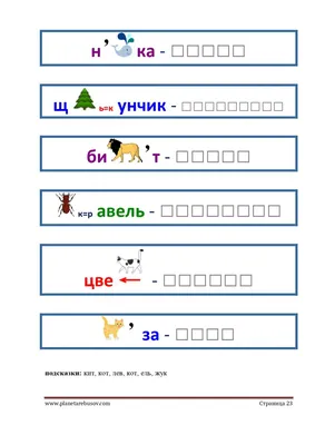 Коллекция фотографий жука щелкунчика