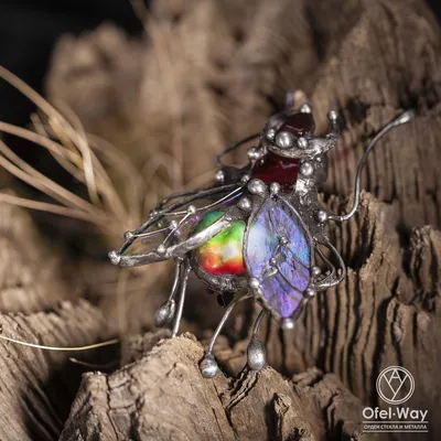 Фотографии жука скарабея: величие в кадре природы