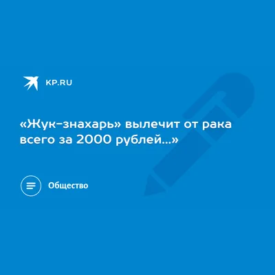 Фото жука целителя 2024 года в формате JPG