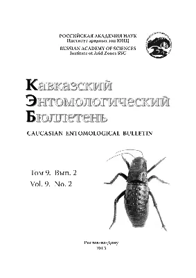 Великолепие жуков Краснодарского края: фото и увлекательные факты