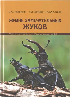 Уникальные жуки Краснодарского края: фото и интересные сведения