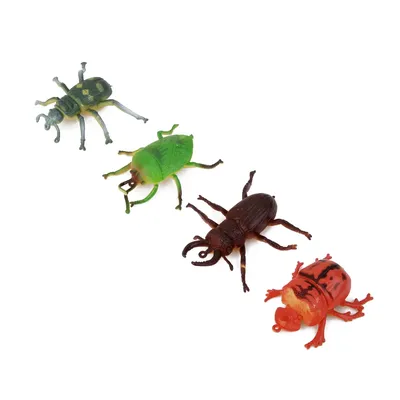 Фото жуков насекомых - скачать в высоком разрешении