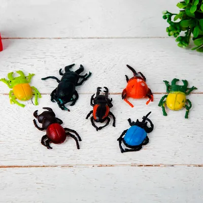Фото жуков насекомых - скачать бесплатно в хорошем качестве