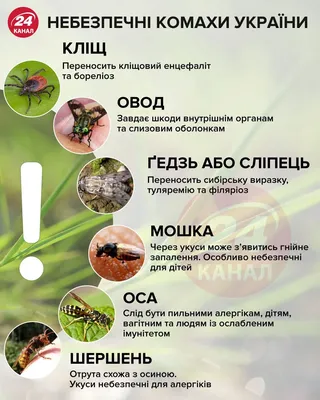 Фото жуков Украины - выберите размер и формат (JPG, PNG, WebP)