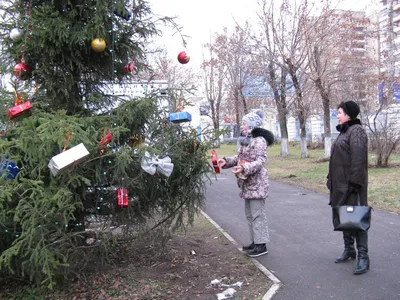 Зимний пейзаж без покрова снега: скачайте картинку в JPG