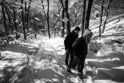 Фотографии зимнего покрова в черно-белом стиле