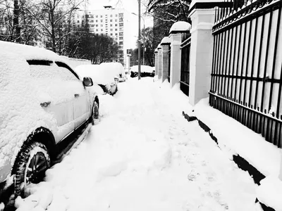 Снежная эстетика: Черно-белые фотографии зимы