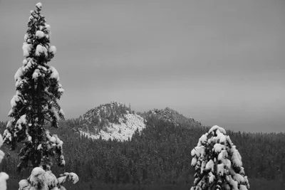 Зима черно белое фотографии
