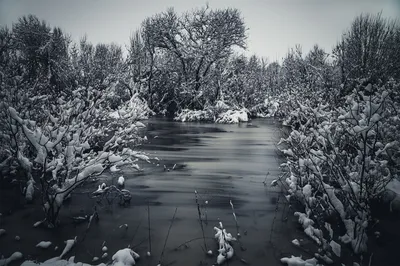 Фотографии зимнего уюта в черно-белых оттенках