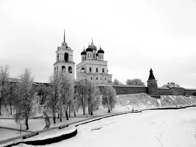 Зимний фотоколлаж: Черно-белые кадры природы