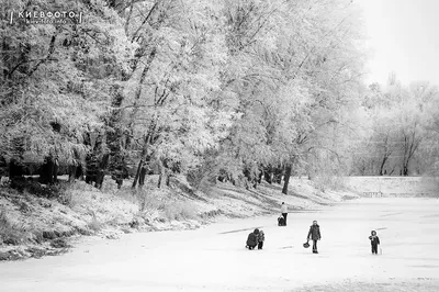 Зимняя фотографическая палитра: Черно-белые зарисовки