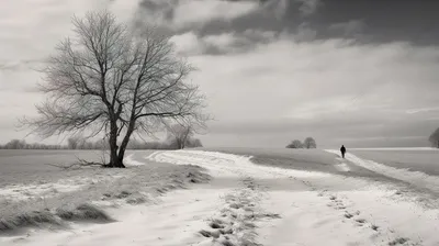 Фотографии зимнего вдохновения в монохроме