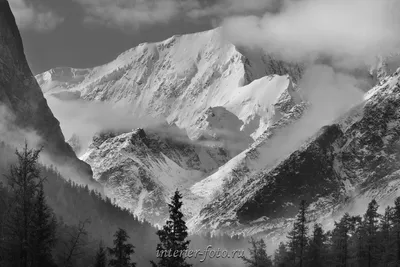 Снежные шедевры: Черно-белые фотографии зимних узоров