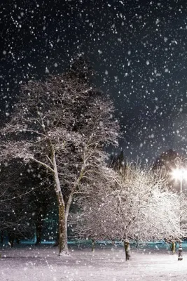 Зима идет снег: Великолепные зимние пейзажи в формате JPG