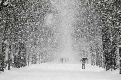 Зима идет снег: Выберите размер для потрясающих фото в PNG