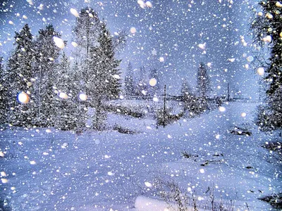 Зима идет снег: Загадочные пейзажи зимы в JPG