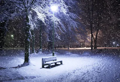 Зима идет снег: Фотографии зимы для скачивания в WebP