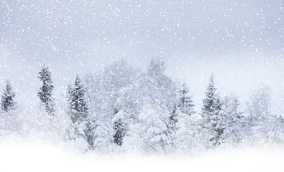 Зима идет снег: Изысканные изображения зимних радостей в JPG