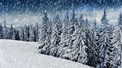 Зима идет снег: Замерзшие краски зимы в PNG формате