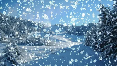 Зима идет снег: Волшебные зимние фото в WebP