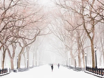 Зима идет снег: Вдохновляющие картины зимнего мира в JPG
